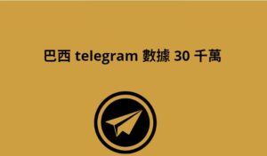 巴西 telegram 數據 30 千萬